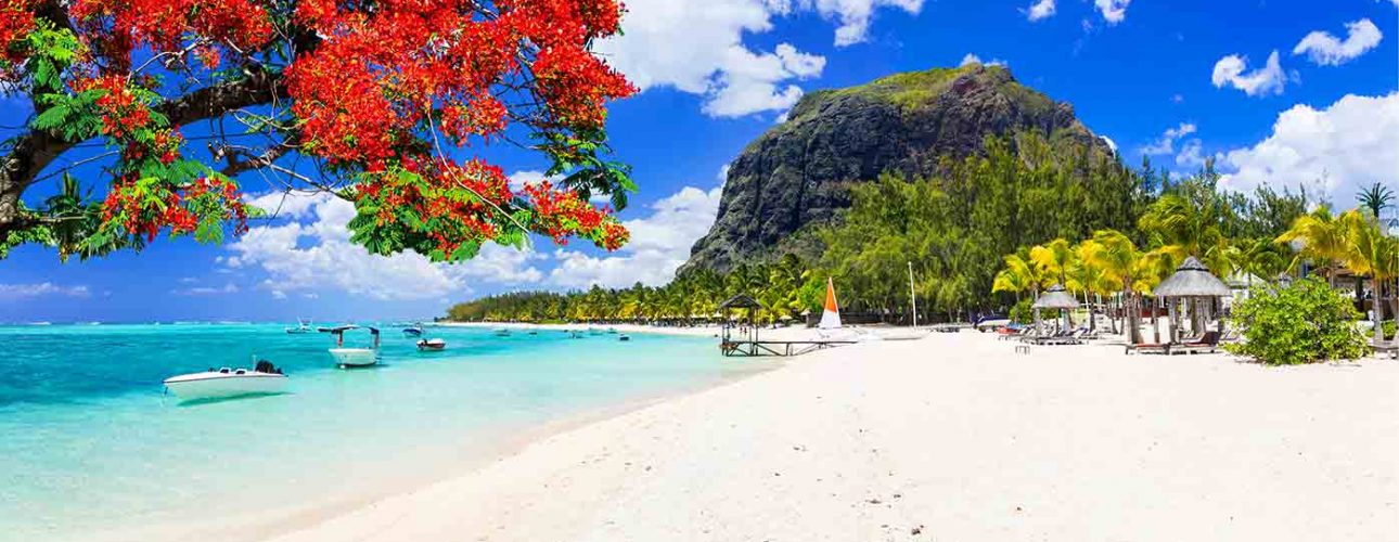Travel agency in Mauritius