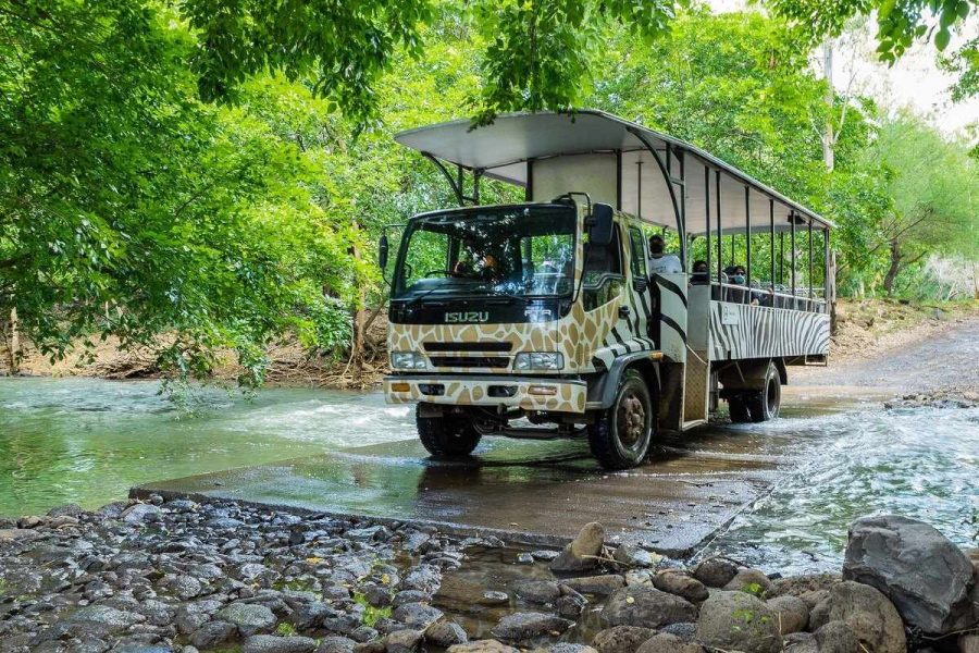 Mauritius Casela Safari Truck
