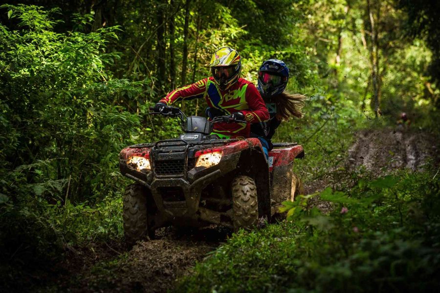 Single quad biking 1-hour