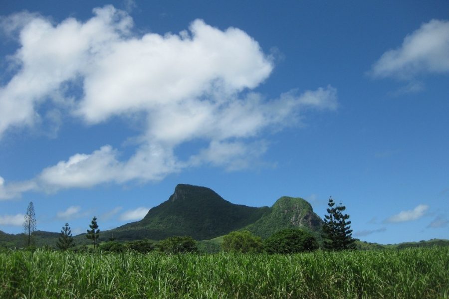 Lion Mountain hiking